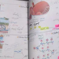 جزوه کل جانوری استاد همدانی|کتاب و مجله آموزشی|قم, پردیسان|دیوار