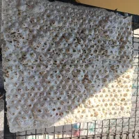 فروش دستگاه نانوایی روتاری|ماشین‌آلات صنعتی|لامرد, |دیوار