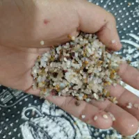 فروش اکواریوم|ماهی|نقده, |دیوار