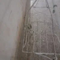 گهوار