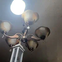 لوسترمسی اصل