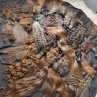 خریدار موی خام و رنگ شده هستم