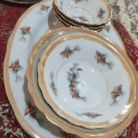 ظروف چینی درجه یک|ظروف سرو و پذیرایی|بهبهان, |دیوار