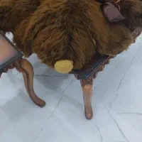 عروسک