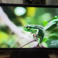 تلوزیون 43 LED سامسونگ