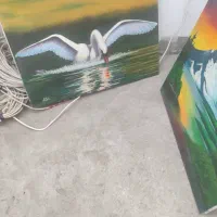تعدادی تابلو نقاشی