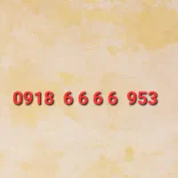 0918.6666.953