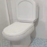 فرنگی سالم