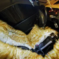 پژو 405|خودرو سواری و وانت|دهدشت, |دیوار