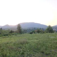 زمین‌جنگلی‌‌در‌قطعات‌مختلف سراوان/ کچا‌/جوکلبندان|فروش زمین و ملک کلنگی|سنگر, |دیوار