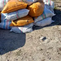 کود گوسفندی خشک