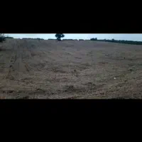 فروش زمین در شهرک صنعتی فاز یک|فروش زمین و ملک کلنگی|نکا, |دیوار