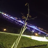 اجتماعی نیرو