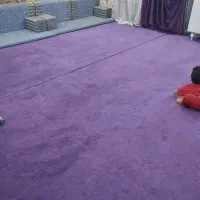موکت به رنگ بنفش ۳۰ متر مربع دو‌تیکه