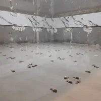 کاشیکاری،کاشی کار،سرامیکار، سرامیکاری ونصب موزاییک|خدمات پیشه و مهارت|مشهد, کوی المهدی|دیوار