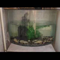 آکواریوم بزرگ دو طرفه یک طرف صاف ویک طرف هلال