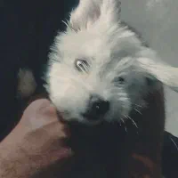 جا ب جایی محل کارم