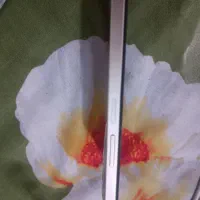 رلمی C61|موبایل|مشهد, همت آباد|دیوار