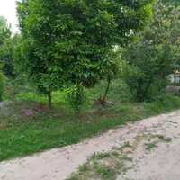 فروش زمین ۵۳۰ متری|فروش زمین و ملک کلنگی|سنگر, |دیوار