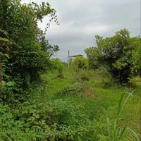 ۲۷۰ متر زمین بافت مسکونی بزچفت بابلکنار