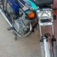 گوسفتدنرفروشی|حیوانات مزرعه|زهک, |دیوار