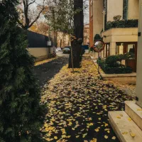 ۵۰۰ متر / یک بارگاه تمام عیار/ اصیل نشین فرهنگ شهر