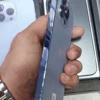 کمپلو جنوبی