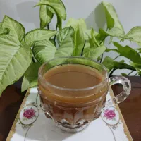 دمنوش گیاهی|خوردنی و آشامیدنی|شیراز, حافظیه|دیوار