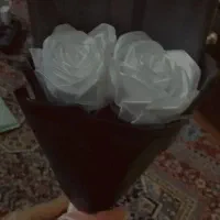 گل تک شاخه و دوشاخه