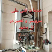 سرویسکار تعمیرکار تعمیرات پکیج آبگرمکن بخاری|خدمات پیشه و مهارت|مشهد, عبادی|دیوار