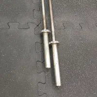 هالتر باشگاه