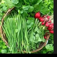 پاک کردن سبزی پذیرفته می شود