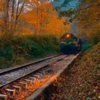 تور ۲ روزه ریلی سوادکوه