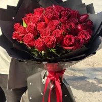 گل جردن|گل و گیاه طبیعی|شیراز, قدوسی شرقی|دیوار