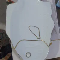 ظرف ماهی