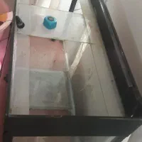 آکواریوم.|ماهی|خرمآباد, |دیوار