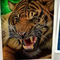 آموزش نقاشی با مدادرنگی آبرنگ و خودکار
