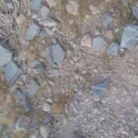 واگذاری یه جفت توله فی۴