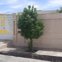 فروش مسکن در پهله زرین آباد