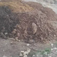 پخش کود حیوانی