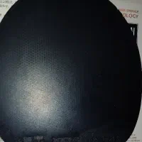 رویه راکت ژیوم و تینرژی|تجهیزات ورزشی|فولادشهر, B4|دیوار