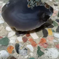 سنگ عقیق حاشیه شجر