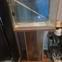 آکواریم شیشه خم