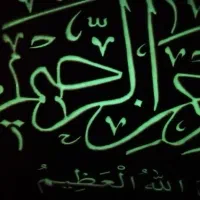 تابلو شب نما برجسته|تابلو، نقاشی، عکس|نوشهر, |دیوار