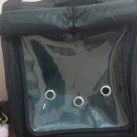 کیف حمل سگ و گربه