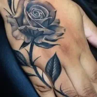 آموزش آرایشگری با مدرک فنی و حرفه ای معتبر|خدمات آرایشگری و زیبایی|فولادشهر, B2|دیوار