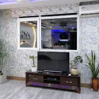 زیر تلویزیونی