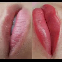 مدل شیدلب ،میکرو ،قاب سایه