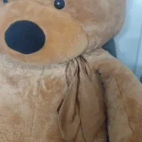 عروسک‌ خرس|اسباب‌بازی بچه|مشهد, کشف|دیوار