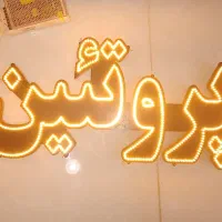 پروتئین‌